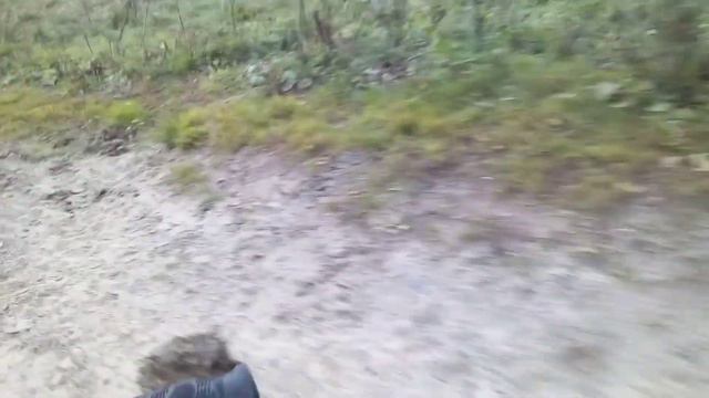 как выглядит деревня Залесное сейчас