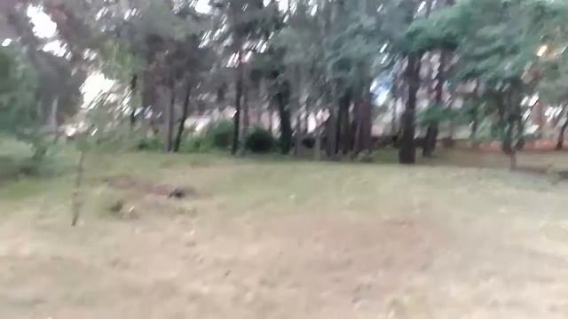 Пицунда 2018 - где остановиться (Мюссерский заповедник)