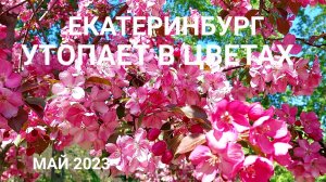 ЕКАТЕРИНБУРГ утопает в цветах: парк на улице Чкалова 20 мая 2023