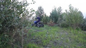 Квадроцикл Мотоланд 250 S