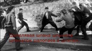 Веселые скороговорки со звуком Ш для взрослых