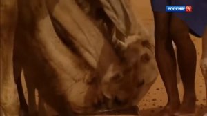 Иаков пророк