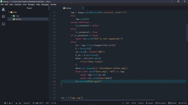 Discord.py Tutorial | Using an API to Filter Images