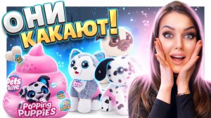 Сюрприз от ZURU PETS ALIVE! Какающие щенки , смешная игрушка. #игрушки #сюрприз #щенки #смешно #zuru