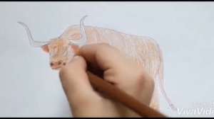 Как нарисовать быка Яка