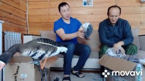 Обзор чучел гусей Софпласт 3D и живое перо!