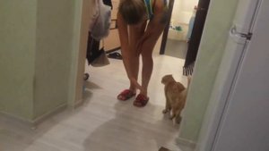 Обидела кота и поплатилась за это.