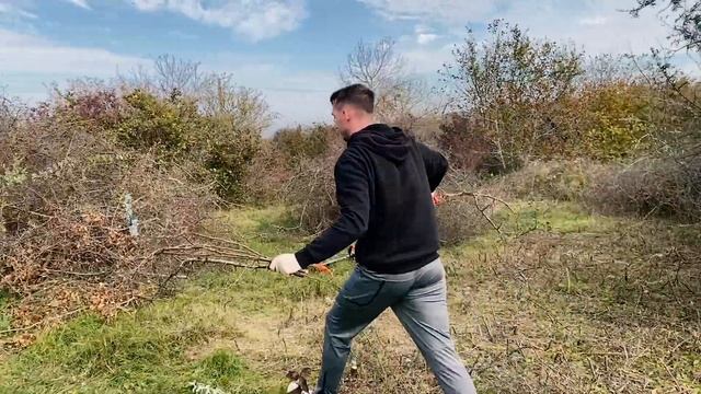 ДАЧНЫЙ УЧАСТОК. С ЧЕГО НАЧАТЬ. СОРНЯКИ, ТЁРН И БУЗИНА. смотреть онлайн