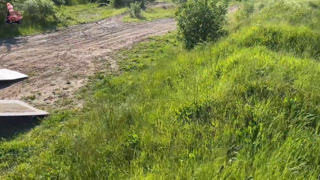 เจอจนได้#ดงหญ้าหวาน#Stevia.14/6/21. смотреть онлайн