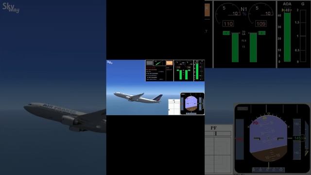 23 - Airbus A330 Air France stalling  Сваливание самолета а330 1_cut_006.mp4