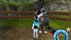 Star Stable Online\МОЯ ЛОШАДЬ УБЕГАЕТ!КАК СДЕЛАТЬ БАГ?