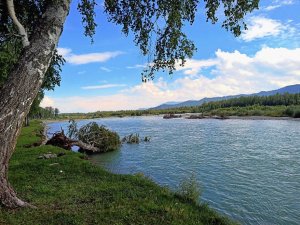 Счастье Усть-Коксы. Республика Алтай.