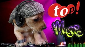 Best Music Mix  top 10 mega popular songs 2022mix (Release) - selection 2