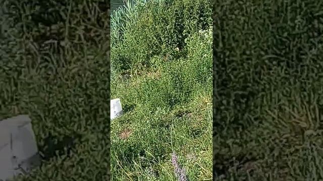 Ну , за экономистов. смотреть онлайн