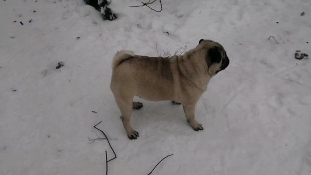 Кефир. И разгрузочный день смотреть онлайн