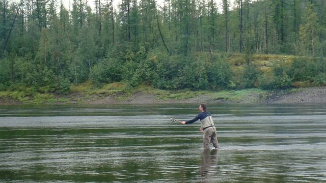 Любимому Петровичу посвящается «баллада о детях большой медведицы» смотреть онлайн