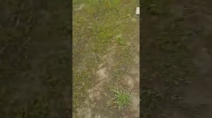 Как высоко пинать мяч .