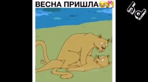Приколы 2019. Ржака до слез. Юмор дети, животные, приколисты в сетях. #4