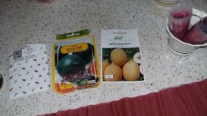 Подвой для Арбуза и Дыни ? Ура! У нас будут свои арбузы! ?