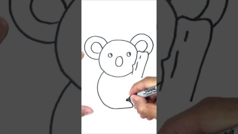 Как нарисовать коалу/панду пошагово | Рисунок мишки | Koala Drawing