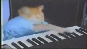 Кот играет на пианино 10 часов