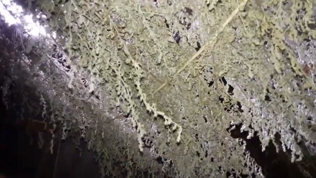 07-Блог.Почему я не везучая. Заготовка сена, травяная, горохлянка, полынь для курей смотреть онлайн