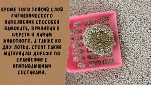 Наполнители для кошачьего туалета. Виды. Плюсы и минусы.