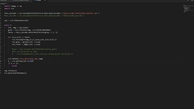 Nhận diện khuôn mặt và mắt với OpenCV - Python qua Webcam смотреть онлайн
