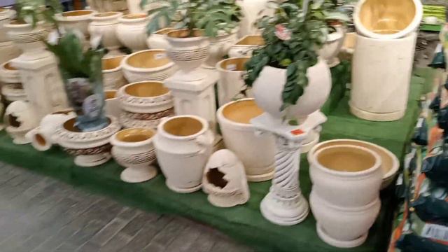 МЕГА ОБЗОР цветочного магазина #растения #цветыдлядома #обзор