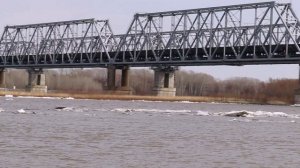 14.04.23. КАМЕНЬ-НА-ОБИ . НА ОБИ ЛЕДОХОД