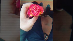 Туй кечаси туйхонада #music