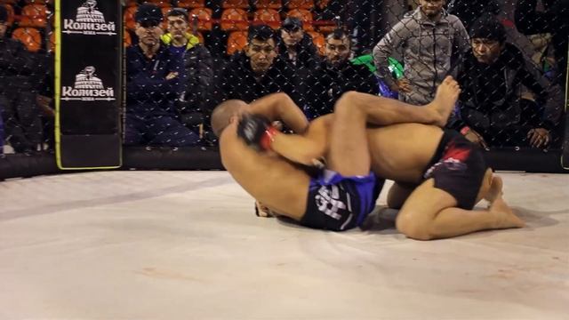 Ельбек Алышов (Азербайджан) vs. Магомеднур Огларов (Россия) | 70 кг смотреть онлайн