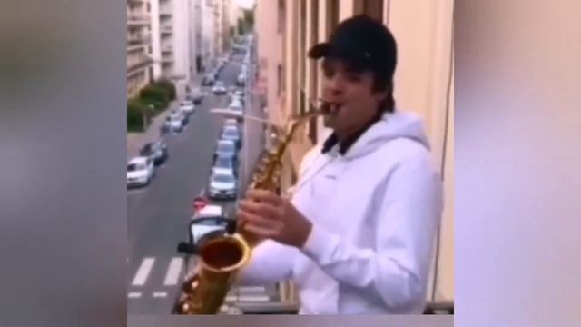 Любите саксофон? Лабрадор обожает необычное исполнение🔥🔥💞 смотреть онлайн