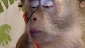 Красота -страшная сила!