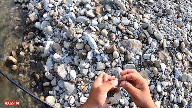 Рыбалка в Чечне. Горная рыбалка. смотреть онлайн