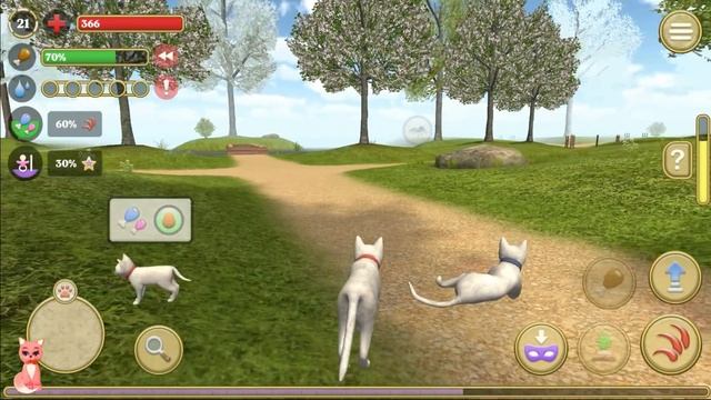 Купили шубку БУРМИЛЛА и завели котеночка в игре Симулятор кота и кошки смотреть онлайн