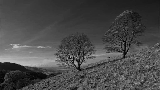 Gustav Holst: A Fugal Concerto for Flute, Oboe and Strings Op. 40 No. 2 (1923) / I. Holst смотреть онлайн