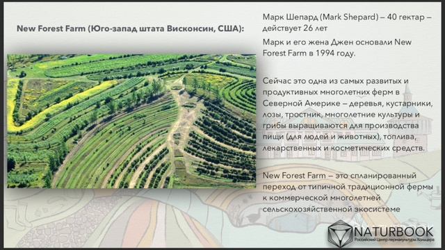 Земледелие: Валерия Букина о пермакультуре, симбиозе и Зеппе Хольцере
