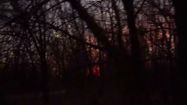 S.T.A.L.K.E.R Фотограф - Сон Фотографа (3) смотреть онлайн