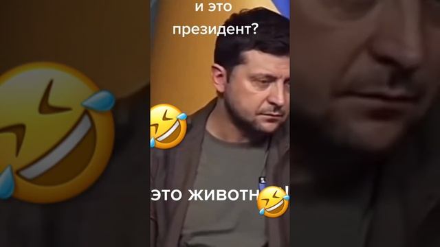 Самое популярное животное в мире