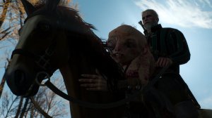 The Witcher 3: Wild Hunt "Какой красавец, не боитесь?"" -  16 часть