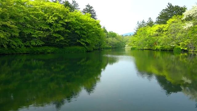 Музыка без слов. Музыка на гитаре смотреть онлайн