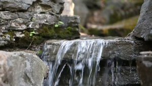 Баба Нам Кевалам-ВАВА NAM KEVALAM❤️Все есть Любовь/Динамическая медитация