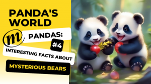 Pandas: interesting facts about mysterious bears