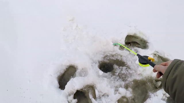 Поклевки окуня и отдай удочку:))) смотреть онлайн