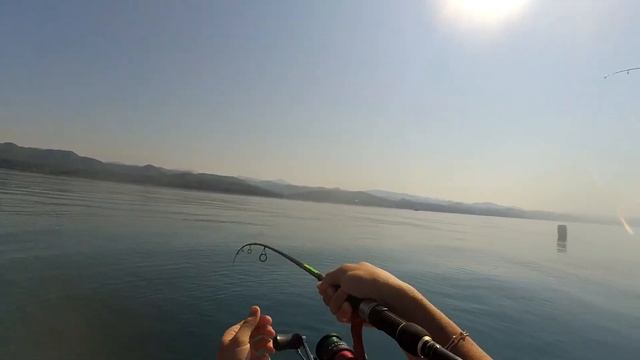 Рыбалка с лодки в черном море, морская лиса, ставрида.