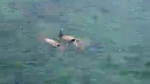 Лиза с папой плавает в море