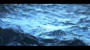 Обычное погружение обернулось настоящей сенсацией.Тайны морей и океанов