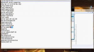 Как создать сервер в minecraft 1.2.5 hamachi?
