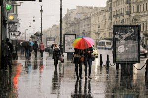 Сквозь сетку бесконечного дождя